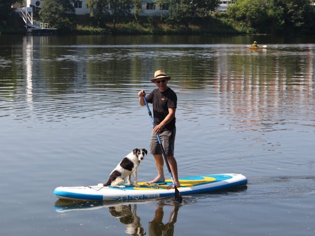 **Erlebe SUP Paddling mit Deinem Hund auf dem Neckar in Heidelberg!**