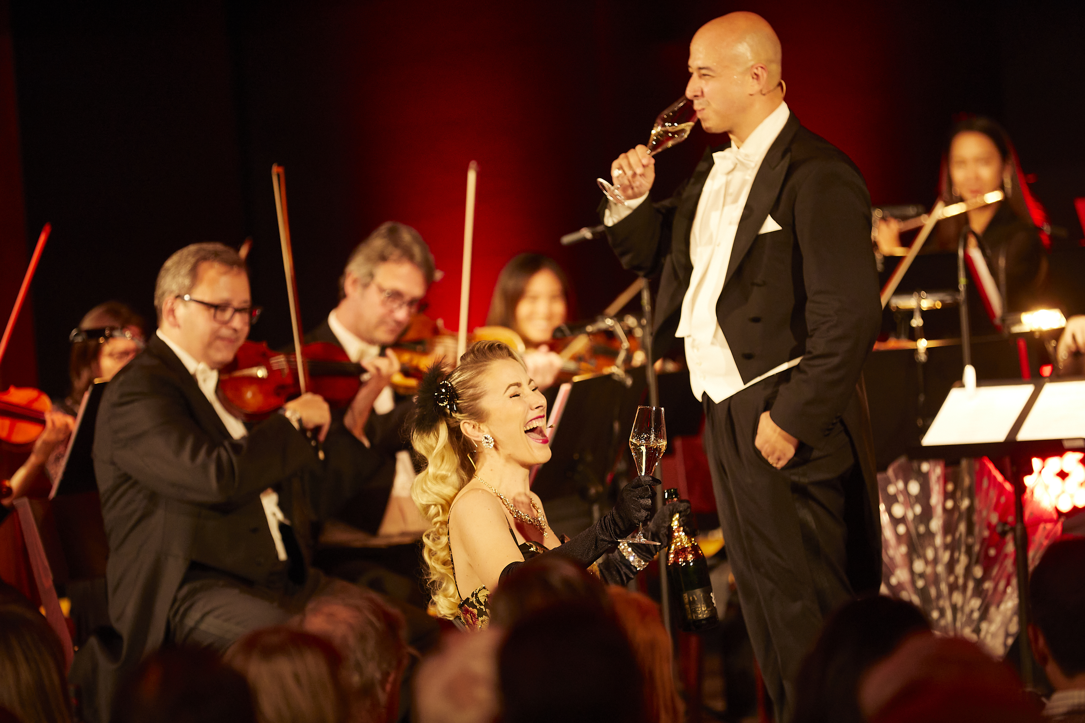 Strauss Dinner Show - Ticket in der Manege