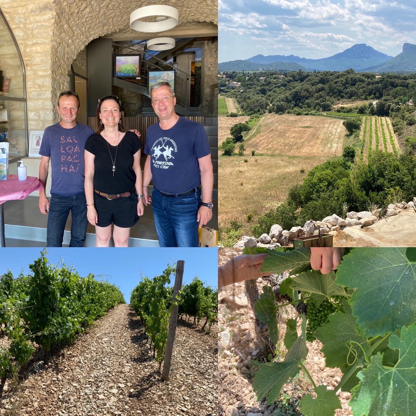 Wein Tasting - Master Class Südfrankreich - tauche ein in die Welt der südlichen Rhone und des Languedoc