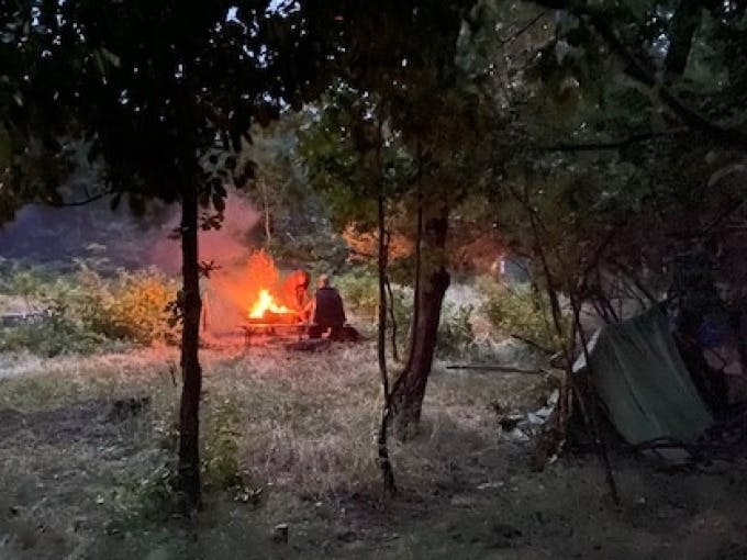 Eine Nacht im Waldcamp