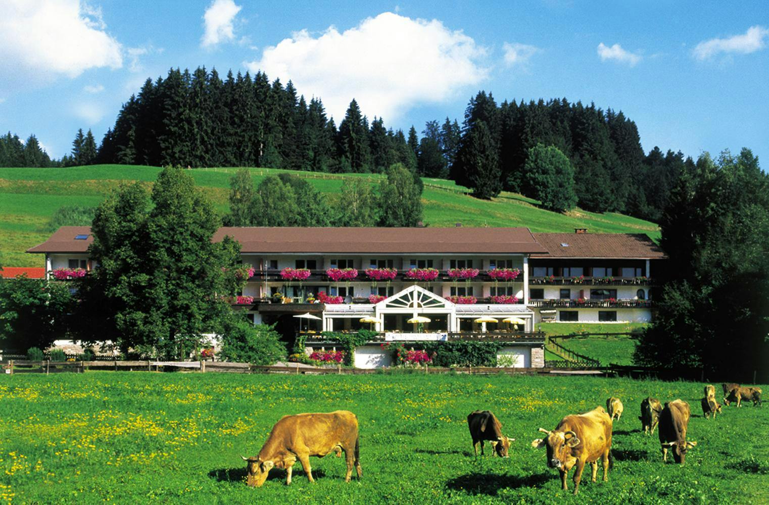 Allgäu-Urlaub |Sonnenbichl Hotel am Rotfischbach****|3 Tage