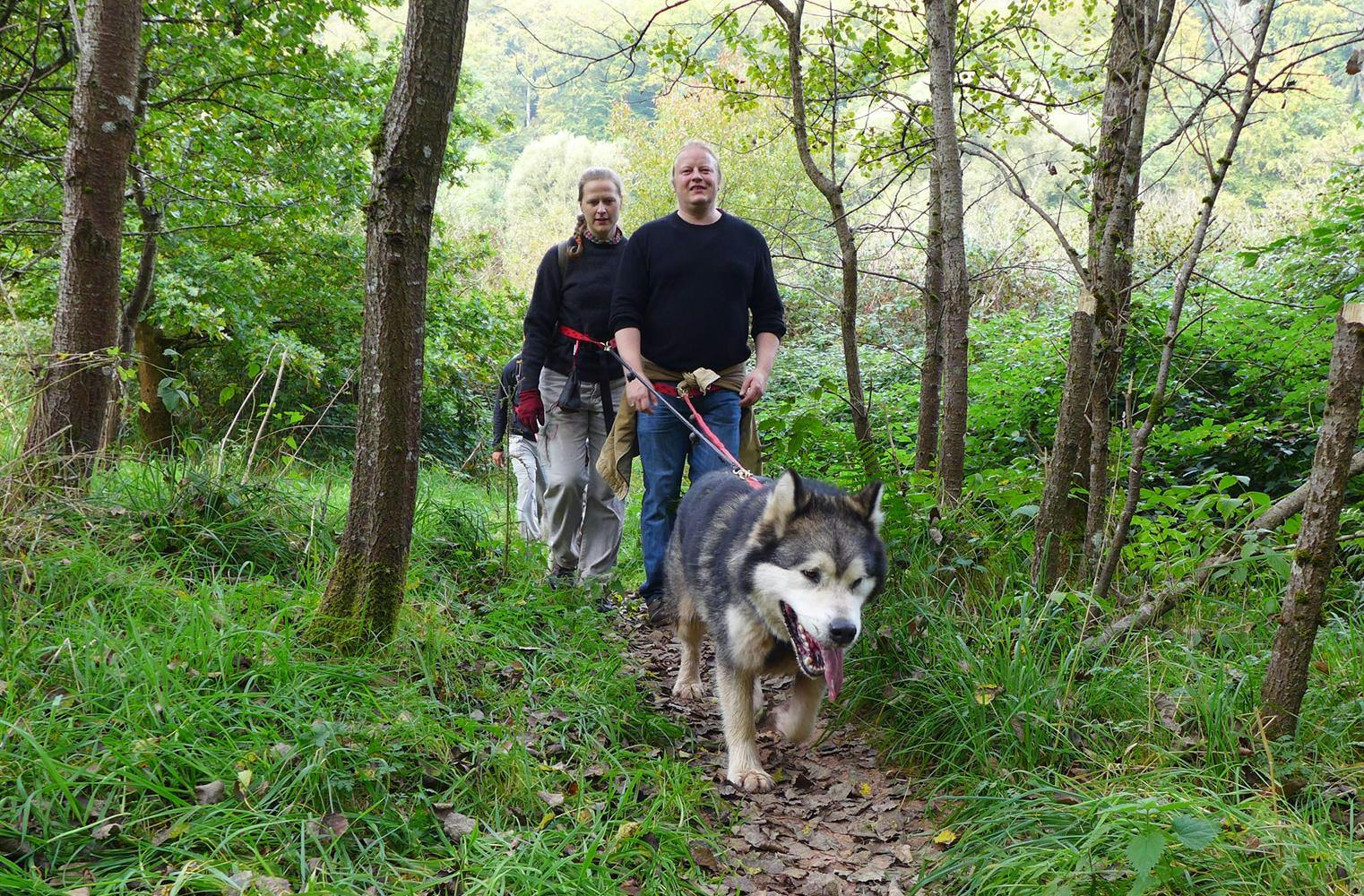 Husky Wanderung | Mensch und Hund als Team im Wald | 4 Std.
