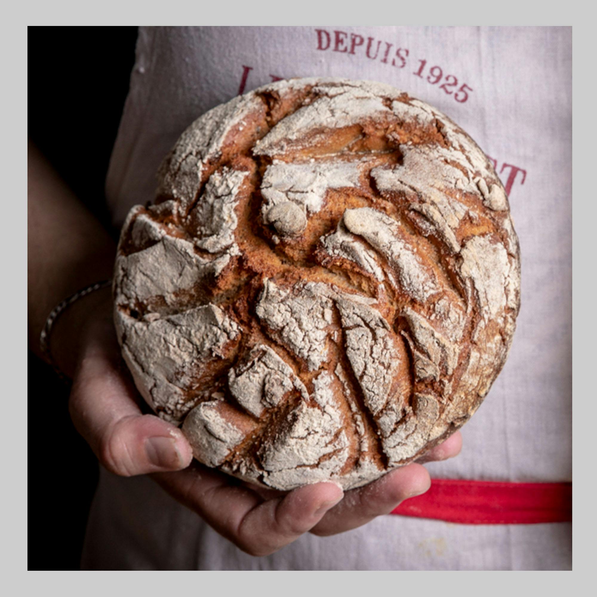 Brot Backen mit Julian Kutos | Kleine Gruppen bis 6 Teilnehmer
