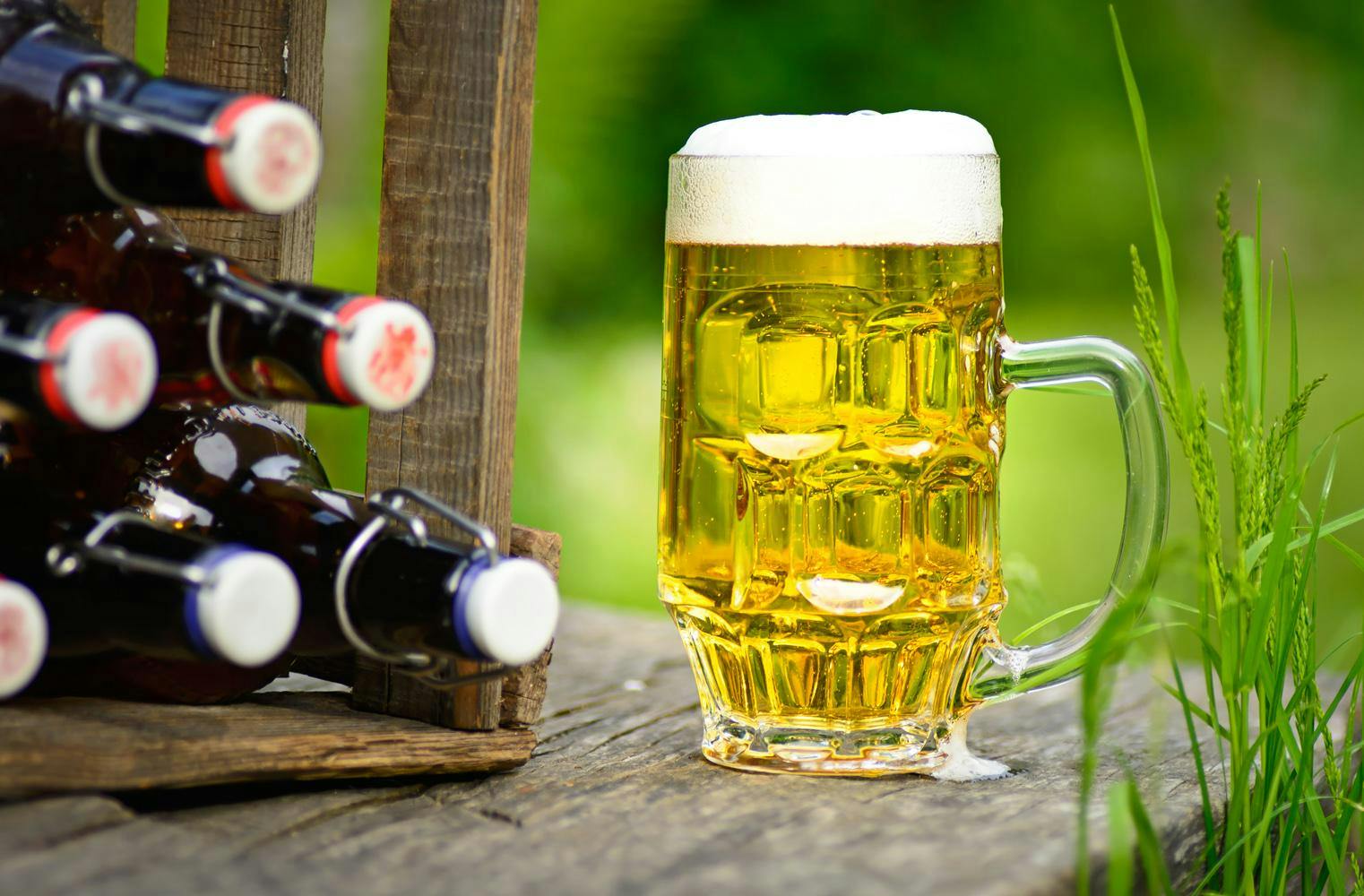 Bierbraukurs | selber Bier herstellen | Freibier & Mahlzeit