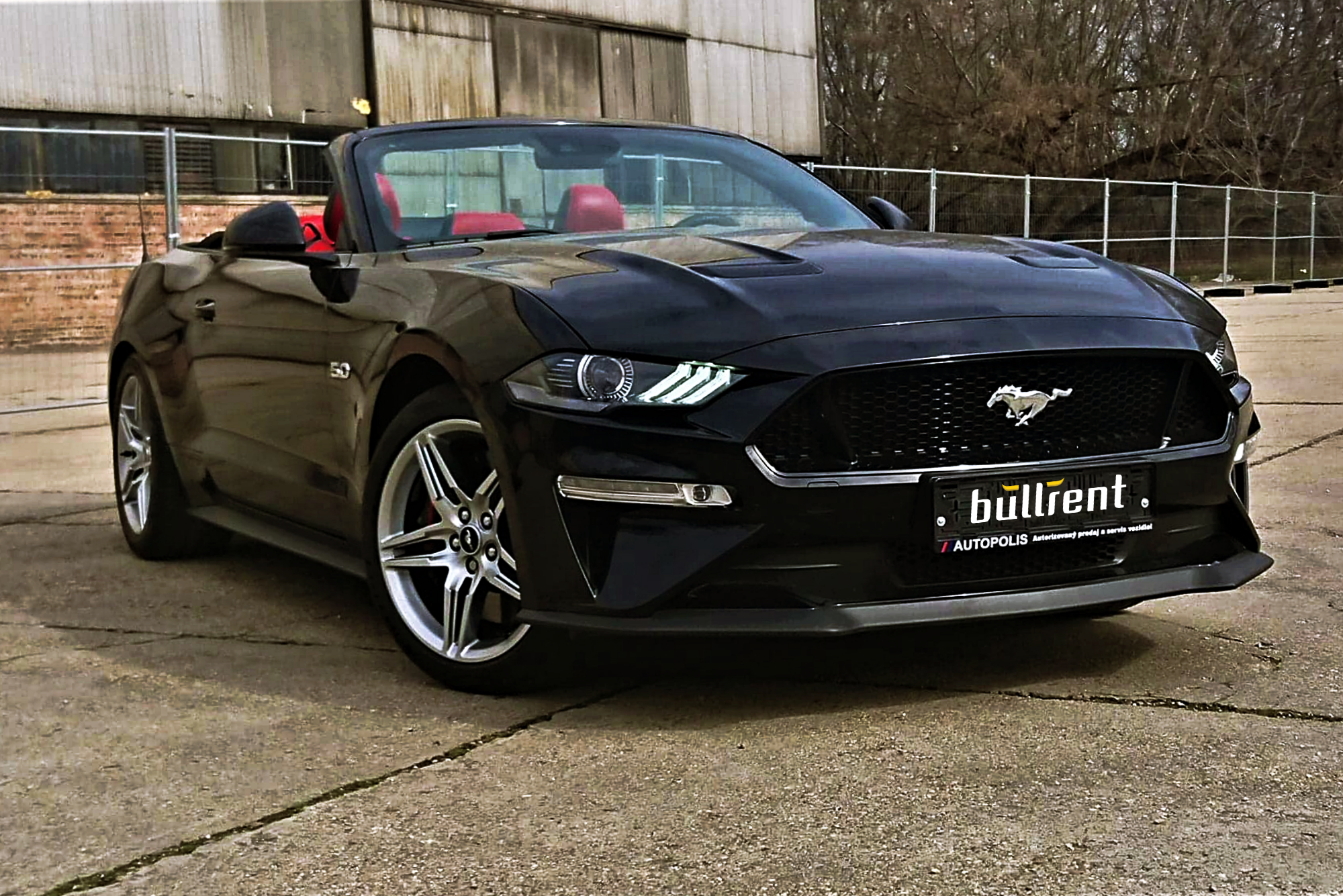 Ford Mustang Convertible 5.0 V8 Tagesmiete