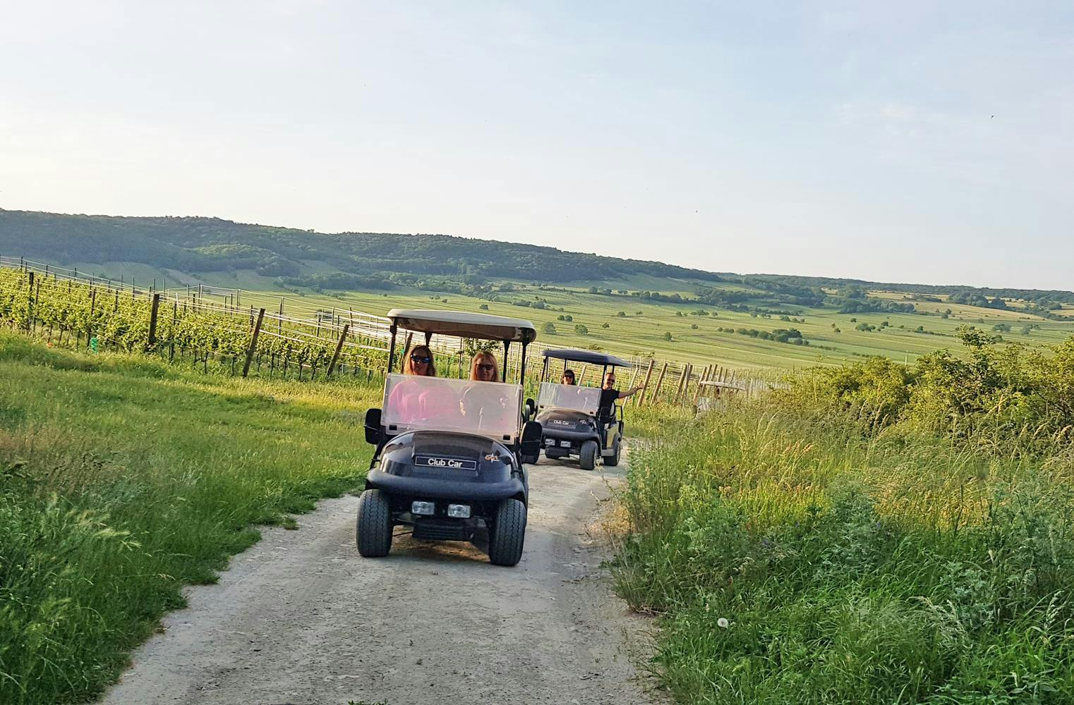 Genussfahrt im Golf Car | Weinverkostung in den Weingärten