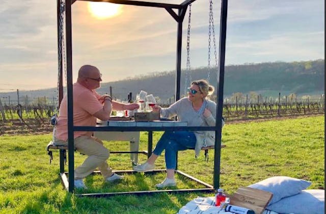 Romantisches Picknick auf der Weinschaukel | Weingärten Jois