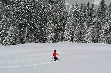 Schneeschuhtour | Wandern im winterlichen Allgäu