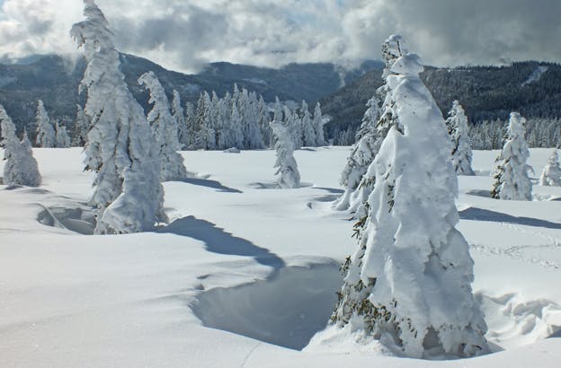 Schneeschuhwandern | 2 Schwarzwald-Touren mit Übernachtung