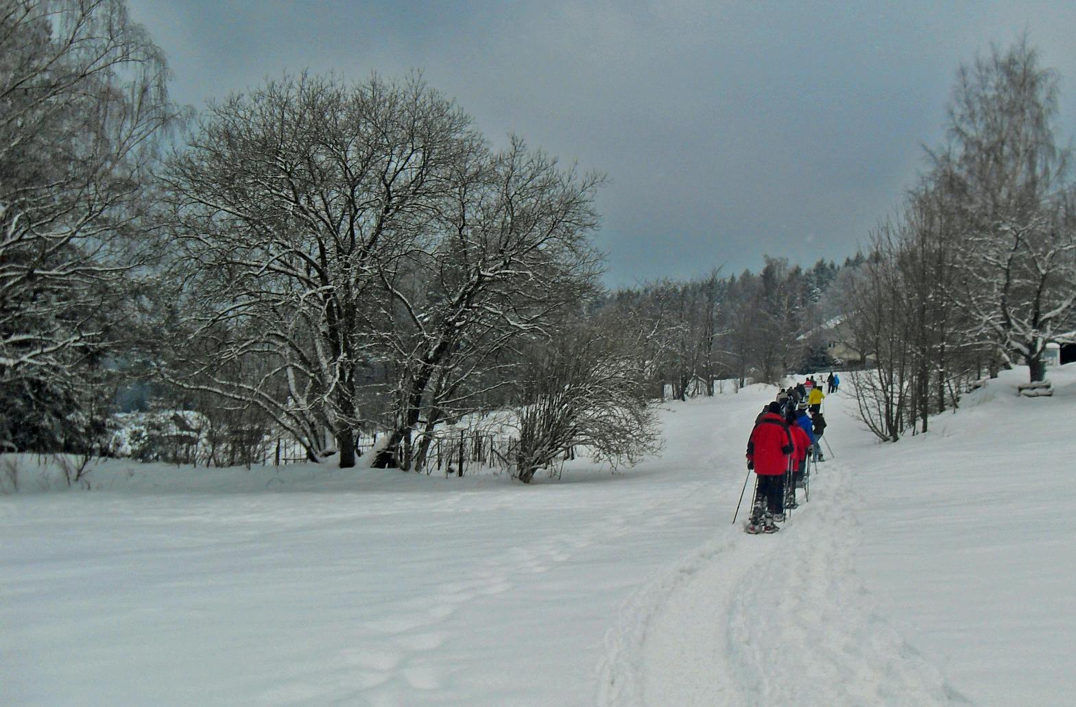 Wanderung mit Schneeschuhen | Abenteuer in Winterlandschaft