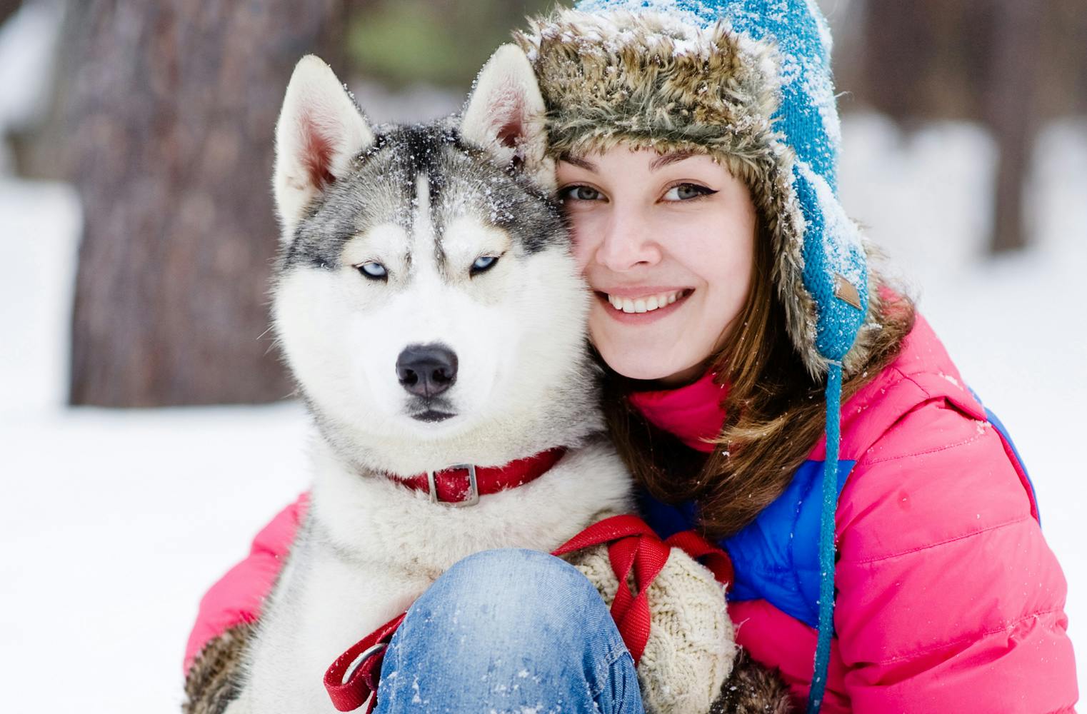 Husky Camp | Hundeschlitten-Fahrt und Schneeschuhwanderung