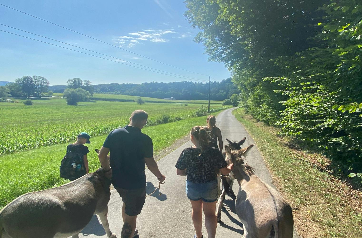 Eselwandern in der Weststeiermark | 1,5 Stunden