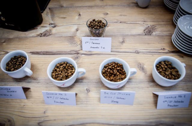 Kaffee Workshop | Kaffee erleben und verkosten