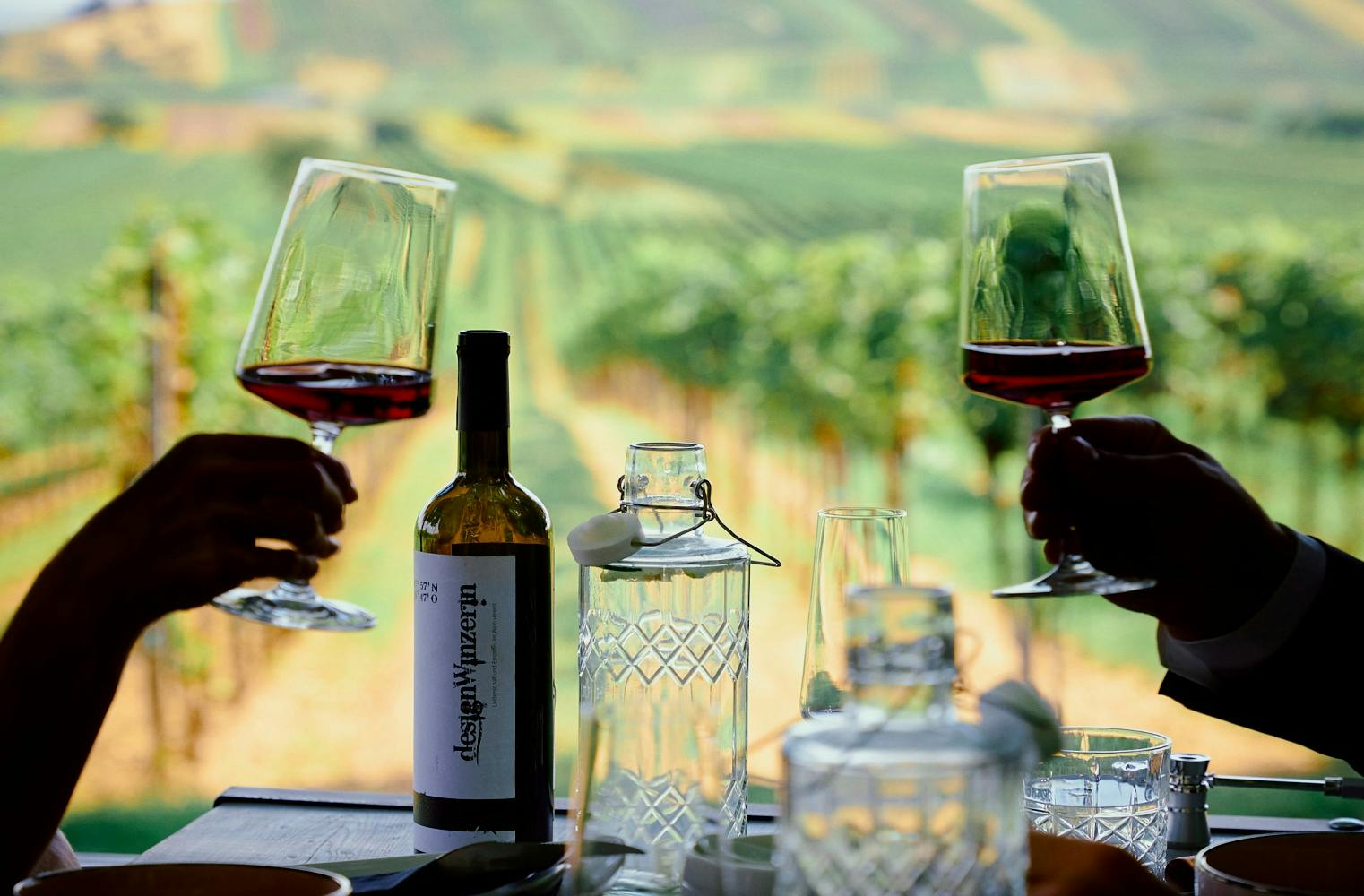 Weinwanderung mit Winzerin | Weinprobe und Jause