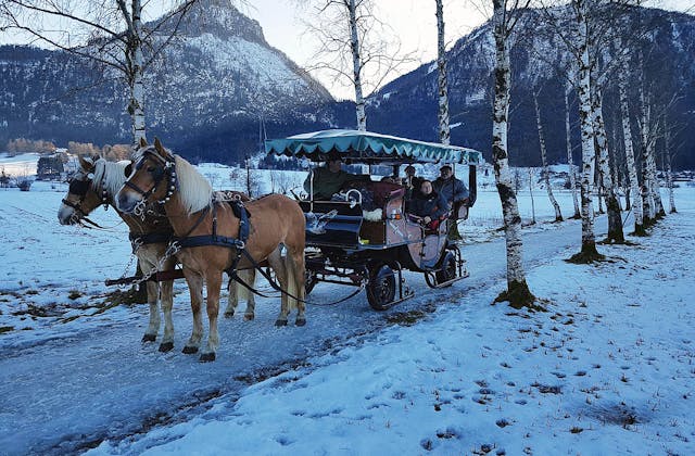 Pferdeschlittenfahrt | winterliches Picknick | 2 Personen